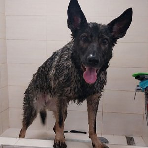 Fotogaléria - Erika